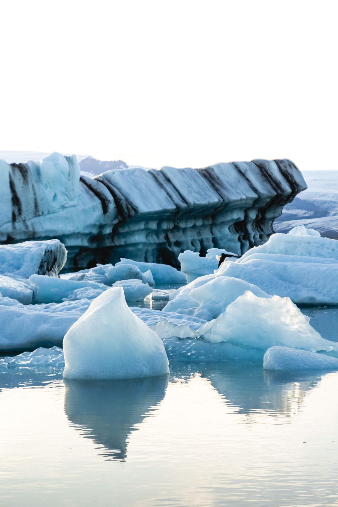 Icebergs adrift in Antarctic waters